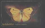 BUTTERFLY - TURKEY - COLIAS CROCEA - Farfalle