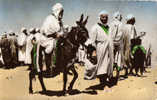 98  / GHARDAIA / MOZABITES AU MARCHE ( Phto Gt General De L Algerie) - Ghardaïa