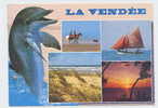 CP LA VENDEE (DAUPHIN)(36 NC) - Dolphins