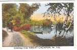 Greetings From GREAT CACAPON  ; W. Virginia ; Attelage Avec Cheval /Horse ;TB - Other & Unclassified