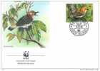 OISEAU PIGEON DES FRUITS DE RAROTONGA ENVELOPPE PREMIER JOUR WWF COOK ISLAND 1989 - Pigeons & Columbiformes