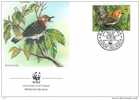 OISEAU PIGEON DES FRUITS DE RAROTONGA ENVELOPPE PREMIER JOUR WWF COOK ISLAND 1989 - Duiven En Duifachtigen