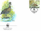 OISEAU CANARD LE DENDROCYGNE A TETE NOIRE ENVELOPPE PREMIER JOUR WWF BAHAMAS 1988 DIFFERENT - Anatre