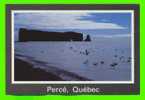 PERCÉ, QUÉBEC - LA MER ET LES OISEAUX AU PIED DU ROCHER PERCÉ - - Percé