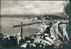 CP >NICE< Vue Générale Sur Le Port Et La Pinte De Rauba-Capeu - Sans Timbre - Schiffahrt - Hafen