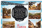 CP - MUNSTER - MULTIVUES - - Munster