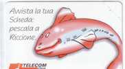 Italy - Italia - Fish - Poisson - RARE And  MINT Card Europa Card Show Riccione - Publiques Ordinaires