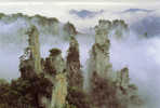 PRE-STAMPED POSTCARDS - CHINA - WORLD NATURE HERITAGE 1998-"Wulingyuan Scenery" - Maximum Cards