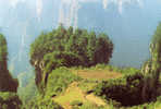 PRE-STAMPED POSTCARDS - CHINA - WORLD NATURE HERITAGE 1998-"Wulingyuan Scenery" - Maximumkarten