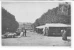 14 // CALVADOS / LIVAROT / La Place Pasteur, Marché Aux Fromages / ANIMEE ND Photo - Livarot