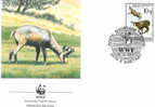 WWF  LE CHAMOIS CAPRINS FDC ALBANIE 1990 DIFFERENTS - Animalez De Caza