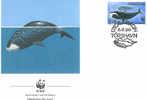 WWF BALEINES  FDC ILES FEROE 1990  DIFFERENT - Wale