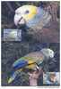 WWF OISEAUX PERROQUETS DE SAINTE VINCENT  4 CARTES MAXIMUM DIFFERENTES DE SAINTE VINCENT  1989 - Papageien