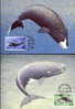 WWF BALEINES MAMMIFERES MARINS 4 CARTES MAXIMUMS DIFFERENTES  DES ILES FEROE   1990 - Wale