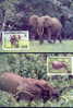 WWF ELEPHANTS  4 CARTES MAXIMUMS DIFFERENTES  DU GABON 1988 - Elefanten