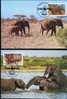 WWF ELEPHANTS  4 CARTES MAXIMUMS DIFFERENTES  DE L OUGANDA 1988 - Elefanti