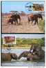 WWF ELEPHANTS  4 CARTES MAXIMUMS DIFFERENTES  DE L OUGANDA 1988 - Elephants