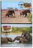 WWF ELEPHANTS  4 CARTES MAXIMUMS DIFFERENTES  DE L OUGANDA 1988 - Elefanti