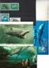 BARGAIN ! 3 X Dolphins - Balaine - Orca - Shark Postcards - 3 Carte Postale De Dauphins - Whales - Orque - Pesci E Crostacei