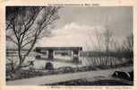 82 MOISSAC Inondations 1930, Pont Cacor, Chemin De Fer, Ligne Bordeaux Cette, Ed Bouzin 14, 193? - Moissac
