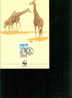 WWF ANIMAUX GIRAFES   DOCUMENT EMIS PAR LE KENYA EN 1989 - Giraffe