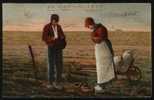 MOOIE KAART - BELLE CARTE  1904 - Farms