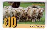 SHEEPS - Australia Old Rare Unidial Card * Sheep Mouton Brebis Schafe Oveja Merino Moutons Pecora - Australia
