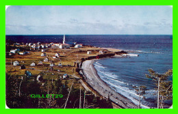 ST. MAURICE DE L'ÉCHOURIE, QUÉBEC - VUE DU VILLAGE DES AIRS - AL CASSIDY PUB. & DIST. - GASPE NORD - - Gaspé