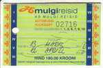 ESTONIA - VILJANDI " Mulgi Reisid " Bus Month Ticket 2006 - Europe