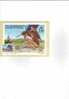 GUERNSEY -  Yvert 251 - CM - FDC - Annullo Speciale Illustrato - Cuckoos & Turacos