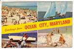 GOOD MINT USA VIEW POSTCARD - MARYLAND - OCEAN CITY - Ocean City