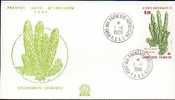 Jolie Fdc 1er Jour T.A.A.F TAAF Plante Lycopodium Saururus 1-1-1986 - FDC