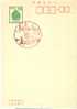 Japan - Sonderstempel / Spacial Cancellation (2941) - Briefe U. Dokumente