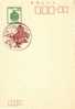 Japan - Sonderstempel / Spacial Cancellation (2944) - Lettres & Documents