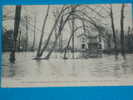 94) Créteil -n°304--l'arbre Penché à Fleur D'eau-( Crue De Janvier 1910)---PUB-DES BOUILLON-KUB--tres Belle Carte - Creteil