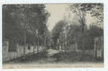 CPA 94 Val De Marne Villiers Bois De Gomont édit ELD N°40 écrite En 1914 Non Timbrée (FM) - Villiers Sur Marne