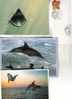 3 X Carte Et Enveloppe De Dauphin - 3 Dolphin Card And Covers + Balaine - Dolfijnen