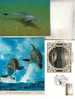 3 X Carte Et Enveloppe De Dauphin - 3 Dolphin Card And Covers + Sea Lion - Delfine