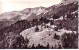 CARTE POSTALE DU COL DE LA FAUCILLE EN DESCENDANT SUR GEX - Gex