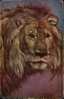 GOOD OLD ANIMALS POSTCARD - LION ( Ludwig Fromme ) Sendet 1929 - Leeuwen