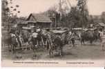 LAOS CARAVANE DE RAVITAILLEEMENT PAR BOEUFS PORTEURS COMMISSARIAT BULL CARAVAN - Laos