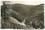 D 1251 - Harzhochstraße Bei (Goslar-) Auerhahn - S/w Foto Ak, Nicht Gelaufen - Goslar