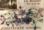 Oostacker Un Bonjour Een Groet Uit - Other & Unclassified
