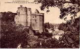 CLISSON - Le Château Et La Sèvre, Au Pont Du Nid-d´Oie - Clisson