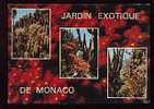 Jolie CP Jardin Exotique De La Principauté De Monaco - Au Dos Cachet Du Centenaire Du 1er Timbre Monégasque - Exotische Tuin