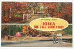 D 1445 - Iowa, The Tall Corn State - CAk, 1968 Gelaufen - Other & Unclassified