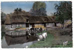 LA NORMANDIE - Cour De Ferme     ( ... CPSM - Avec Vaches Et Fermiers - Non Circulé !!! ...) - Haute-Normandie