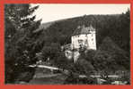 SUISSE VALANGIN Cpsm Le Chateau       4346 SGN - Valangin