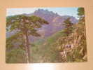 1 Carte Postale (2466) Corse Cherchez Le Mouflon - Corse