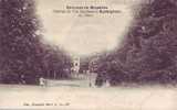 AUDERGHEM = Château De Val Duchesse - Le Parc  (nels  S.11   N° 337)  1902 - Auderghem - Oudergem